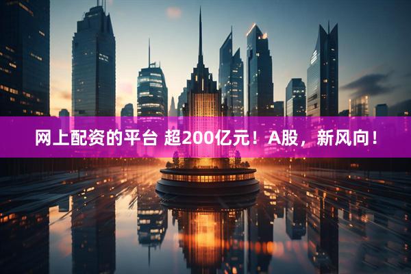 网上配资的平台 超200亿元！A股，新风向！