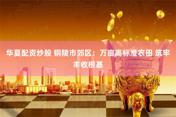 华夏配资炒股 铜陵市郊区：万亩高标准农田 筑牢丰收根基