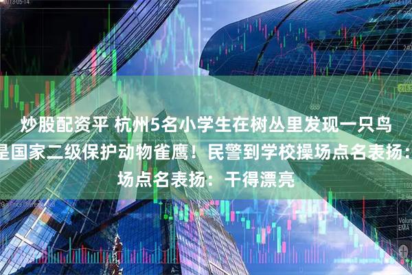 炒股配资平 杭州5名小学生在树丛里发现一只鸟，经查竟是国家二级保护动物雀鹰！民警到学校操场点名表扬：干得漂亮